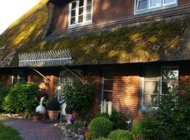 Ferienwohnung op de Warft
