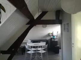 Appartement spacieux vue sur Loire proche du centre