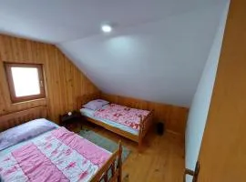 Vikendica Pinus Blidinje