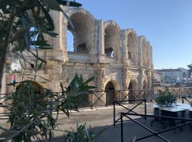 Holiday in Arles: Appartement de l'Amphithéâtre，位于阿尔勒阿尔勒竞技场附近的酒店