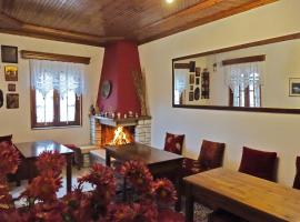 Traditional Guesthouse Alkistis，位于Zagori的宠物友好酒店