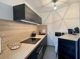 Charmant studio centre ville de Mutzig，位于米齐格的酒店