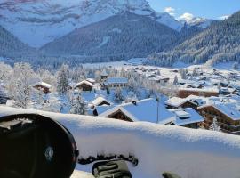 Studio avec vue splendide sur les Diablerets，位于莱迪亚布勒雷的酒店