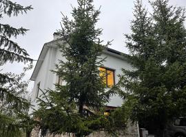 Kassandrov Guest House Ravnogor/ Касандрова къща Равногор，位于Ravnogor的酒店