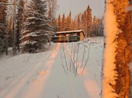 Northwoods Cottage Bed and Breakfast，位于费尔班克斯的住宿加早餐旅馆