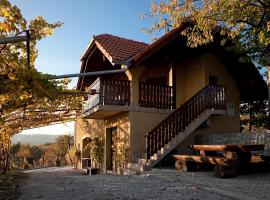 Vineyard Cottage Brodaric，位于梅特利卡Stanica Bubnjarci附近的酒店