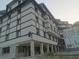 Apartmani Nedeljkovic Brzece Kopaonik