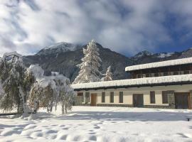 Gressoney Saint-Jean Halldis Apartments，位于格雷索圣尚的酒店