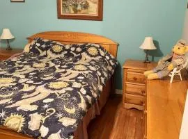 Comfortable apartment in Gatineau 74 m² with city view