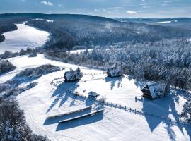 Wille Trójca，位于Trójca的酒店