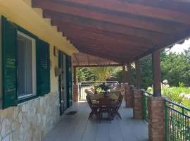 Villa il Carrubo