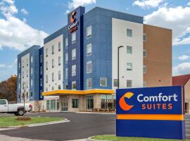 Comfort Suites Cottage Grove-Madison，位于Cottage GroveLittle Amerricka附近的酒店