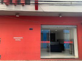 Amarante Hotel，位于茹阿泽鲁彼得罗利纳 - 尼罗科埃略议员机场 - PNZ附近的酒店