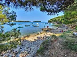 Mobile home- Fish huts and Orange huts