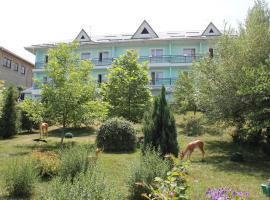 Green Hotel，位于阿拉木图的酒店