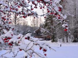 The Lake House "Ausatas"，位于Dobele的公寓