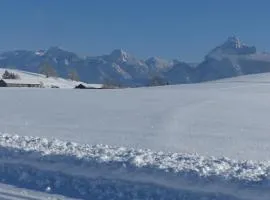 Ferienwohnung Allgäuer Landhaus Stocker in Hopferau-Füssen