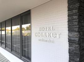 HOTEL COLLECT，位于堺市Subaru Hall附近的酒店