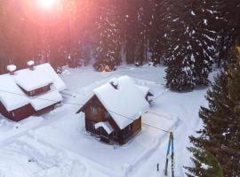 Digital Detox Chalet Pokljuka，位于Goreljek的公寓