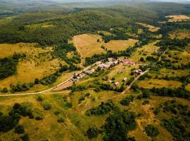 Agrovillage，位于Labaşinţ的酒店