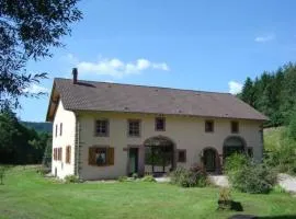 Grande Ferme Rénovée avec Jardin, Terrasse et Sentiers à Proximité - Vosges - FR-1-589-232