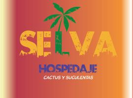 Selva Hospedaje，位于瓦尔帕莱索的青旅