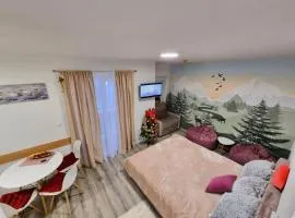 Snowman Studio Apartment Jahorina