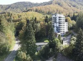 Kurort Kozubnik - Apartamenty Kiczora nad strumykiem - Dream Apart