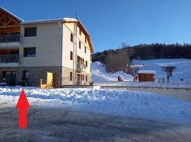 Appartement Les Vallons au pied des pistes，位于昂塞勒Bois Noir Ski Lift附近的酒店