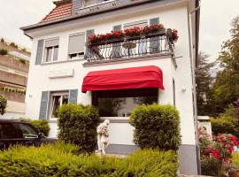 Villa am Südpark，位于巴特瑙海姆的酒店