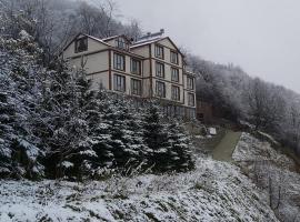 Alya Teras Otel Hamsiköy，位于Hamsikoy的酒店