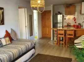 Hermoso Departamento Full Equipado