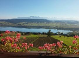 Pokoje u Chmielaków - Huba z widokiem na Jezioro Czorsztynskie Tatry i Pieniny Balia，位于Maniowy的乡村别墅