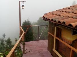 拉古尼亚斯德尔波阿斯山林小屋，位于Poasito的山林小屋
