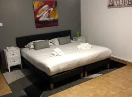 Appartement LOGIS DES MARAIS