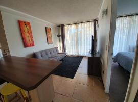 CENTRAL VISTA LOS INGLESES 2 VALPO，位于瓦尔帕莱索的酒店