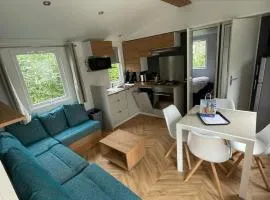 Renesse Chalet in family friendly area