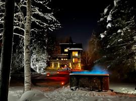 Scandi House Levi，位于列维2000贡多拉滑雪缆车附近的酒店