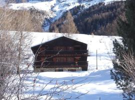 Chalet Singlinaz，位于琪纳尔的酒店