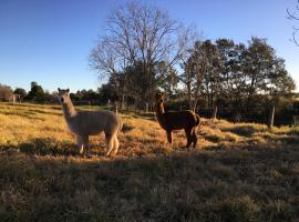 Muswellbrook Northside Bed & Breakfast，位于马瑟尔布鲁克的住宿加早餐旅馆