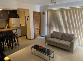 Departamentos Libertador