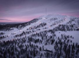 Ski-Inn PyhäLinna，位于普哈圣山的酒店