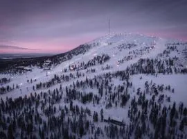 Ski-Inn PyhäLinna