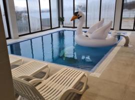 Pensiunea GOLD Wellness&Spa，位于Chişcău的带泳池的酒店