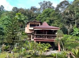 Purimai Jungle House in the heart of Kuala Lumpur