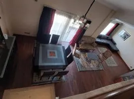 Spacious cheerful apartment