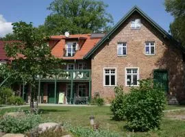 Grüner Wald