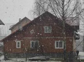 Долина Карпат