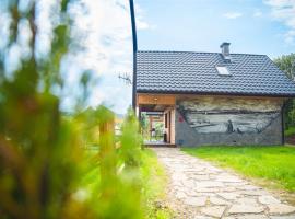 Domek Dzikusówka Bieszczady Solina Polańczyk，位于Górzanka的酒店