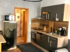 Delux Ferienwohnung Kunstgalerie und Ilmradweg，位于Kranichfeld的Spa酒店